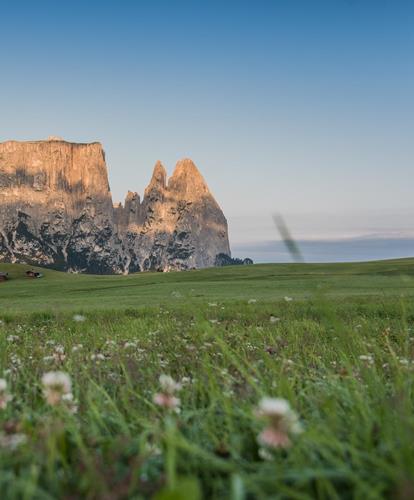 Dolomites Region Seiser Alm