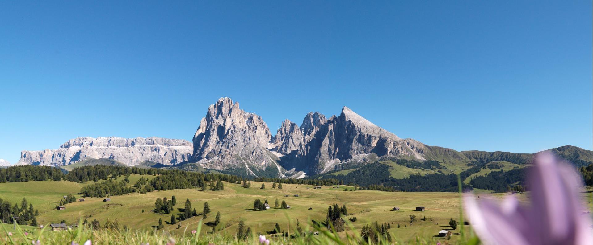 Seiser Alm with view of the Langkofel and Plattkofel and in the background the Sella massif