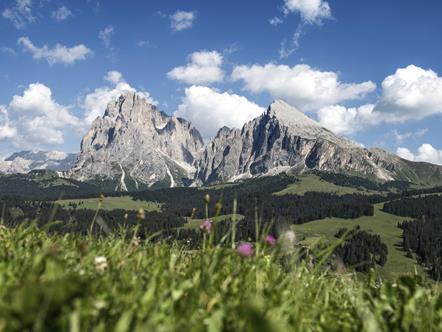 Naturpark Schlern-Rosengarten im UNESCO Welterbe in den Dolomiten